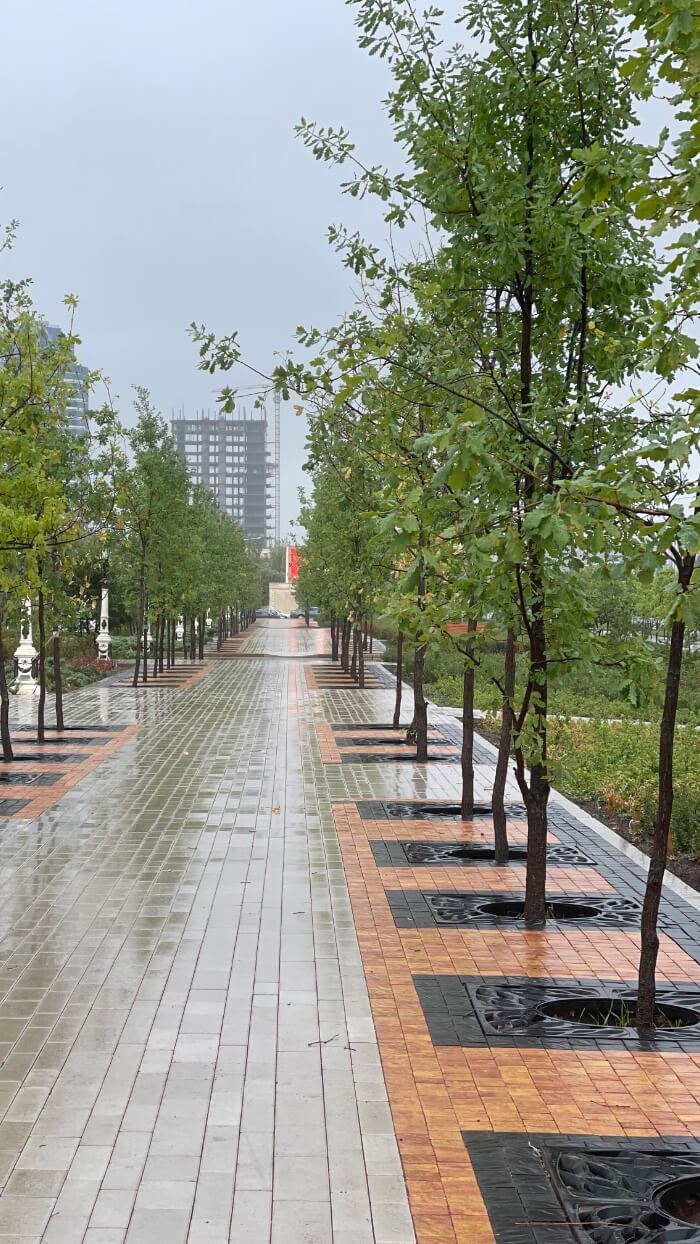 Приствольная решетка для дерева ZKING CRUST 1.2х1.2м Черная в Ломоносове фото