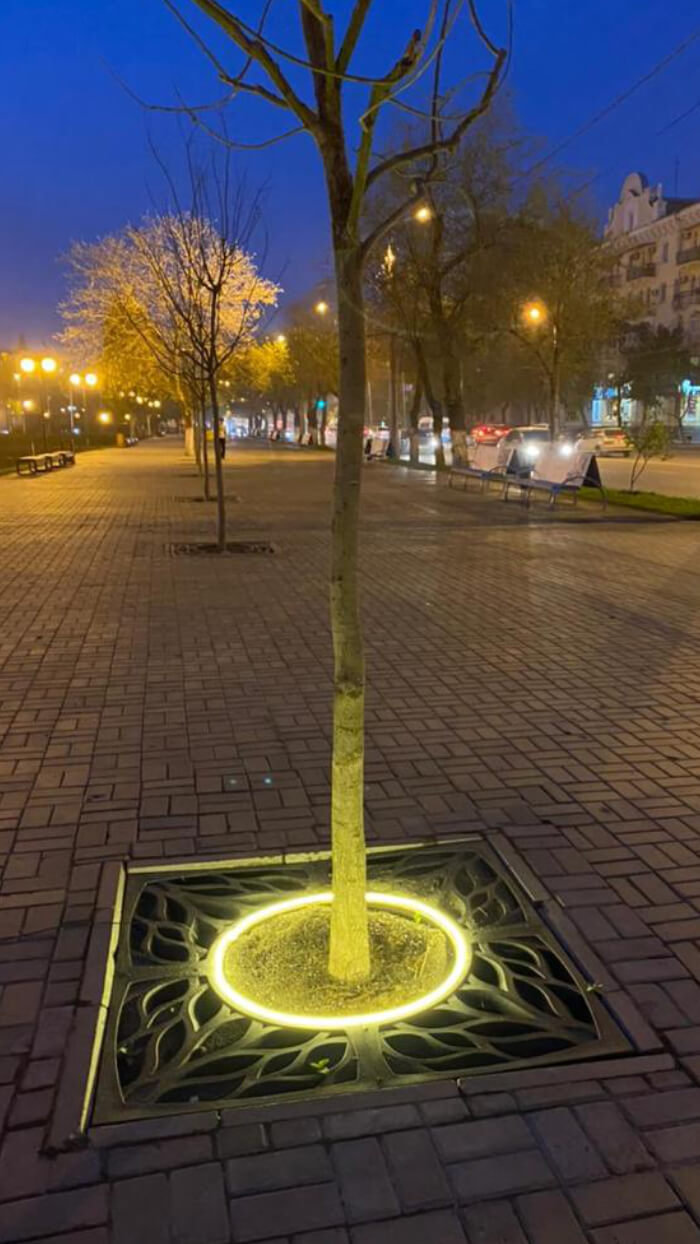 Приствольная решетка для дерева ZKING CRUST 1.2х1.2м Черная в Ломоносове фото